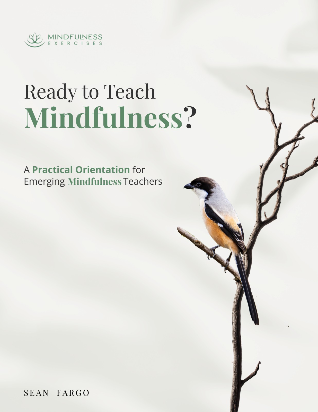 Ready to Teach Mindfulness? — A Practical Orientation for Emerging Mindfulness Teachers, by Sean Fargo